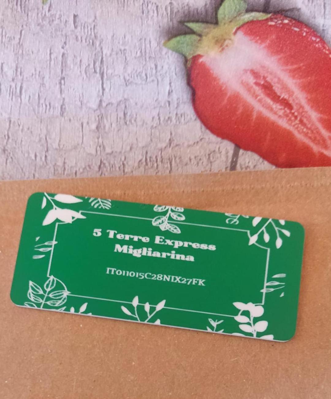 5 Terre Express Migliarina Daire La Spezia Dış mekan fotoğraf